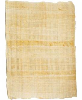 Echter Papyrus